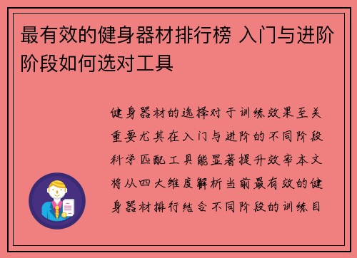 最有效的健身器材排行榜 入门与进阶阶段如何选对工具